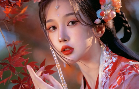 每日大赛免费在线观看